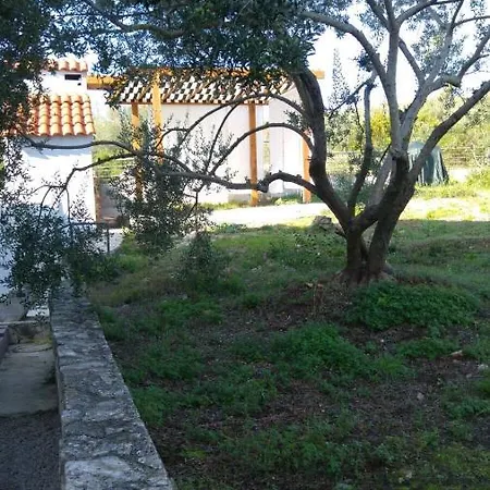 Apartment In With Seaview, Terrace, Air Condition, Wifi *